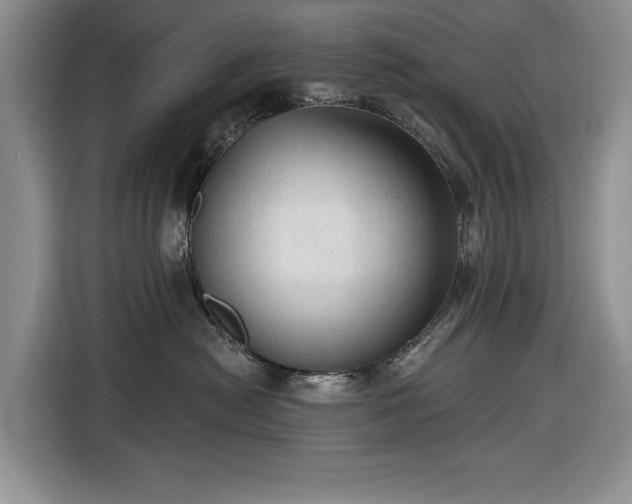 X0000116610478200912181210