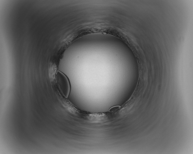 X0000116610480200912181210