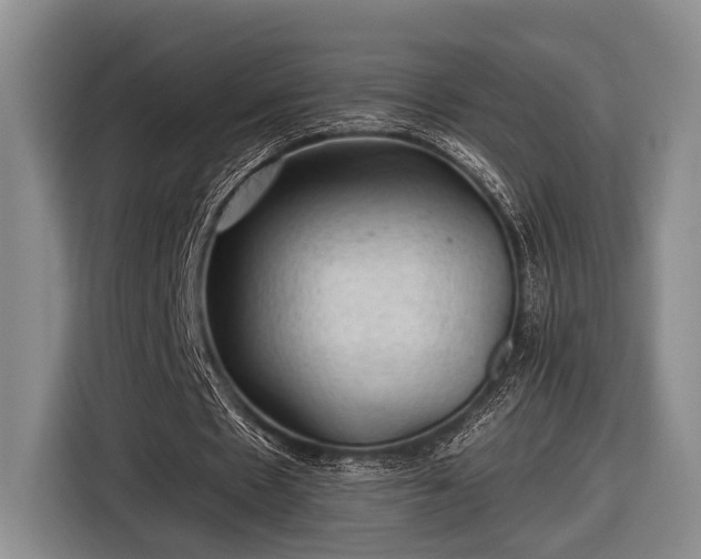 X0000116610481200912181209