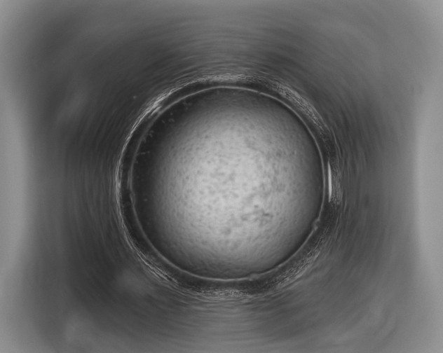 X0000116610483200912181209