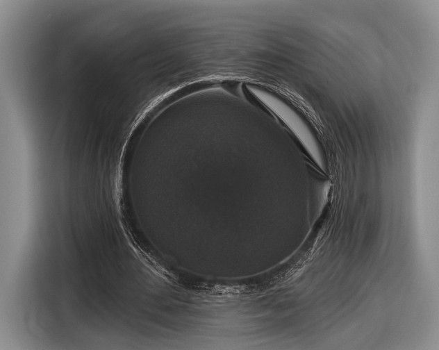 X0000116610484200912181209