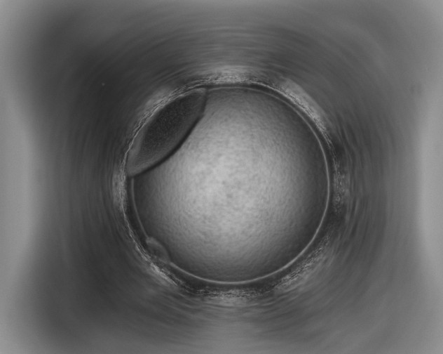 X0000116610485200912181209