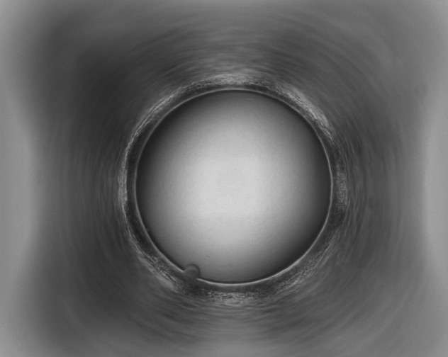 X0000116610486200912181209