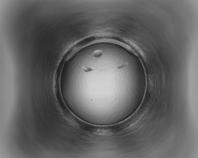 X0000116610487200912181209