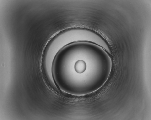 X0000116610488200912181209