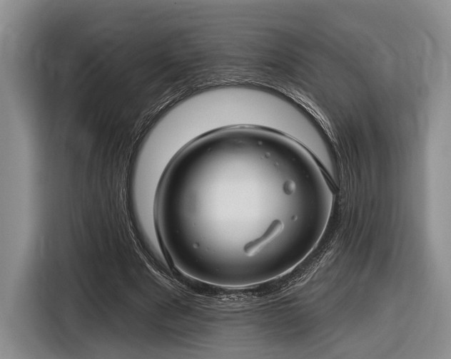 X0000116610489200912181209