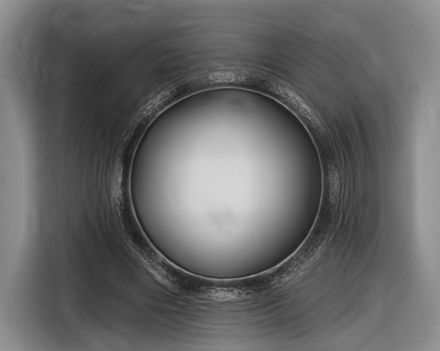 X0000116610490200912181209