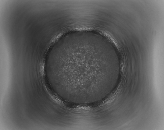 X0000116610491200912181209