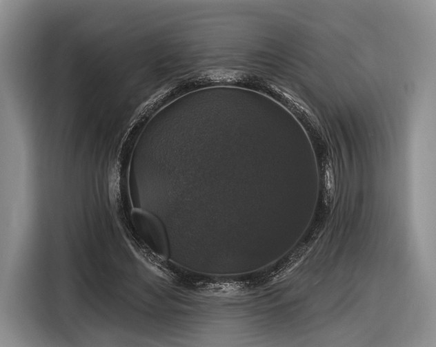 X0000116610492200912181209