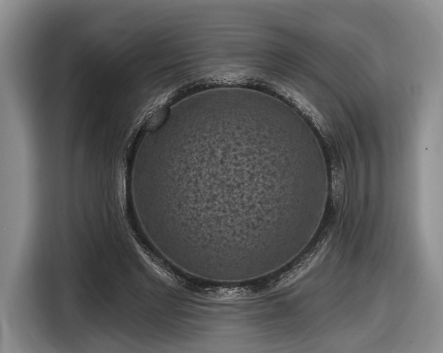 X0000116610493200912181209