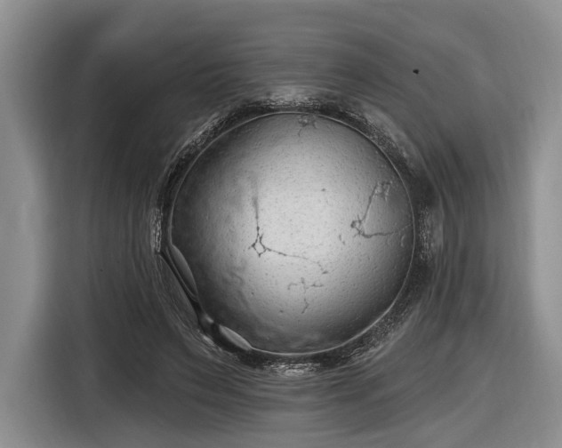 X0000116610495200912181209