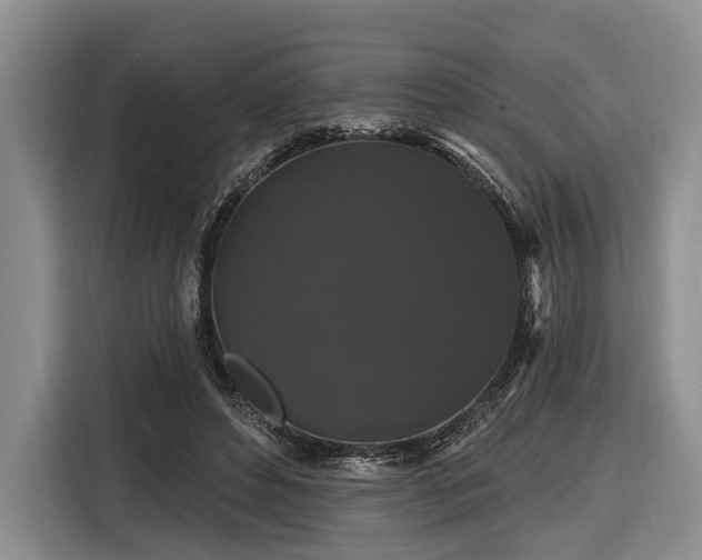 X0000116610496200912181209