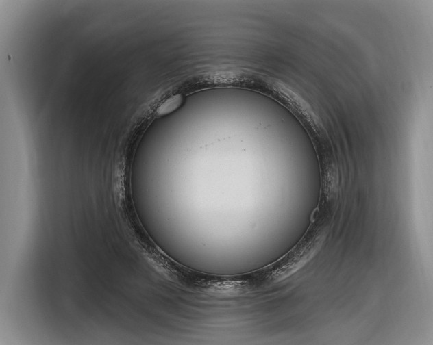 X0000116610497200912181209