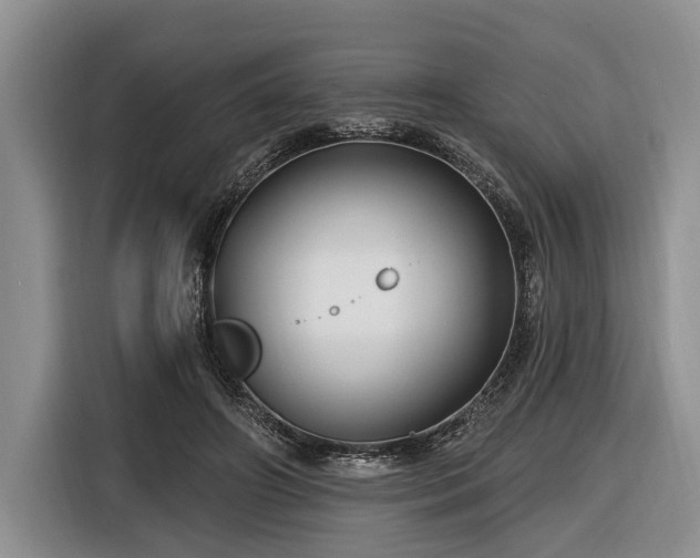 X0000116610498200912181209