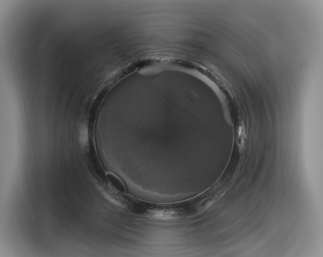 X0000116610500200912181209