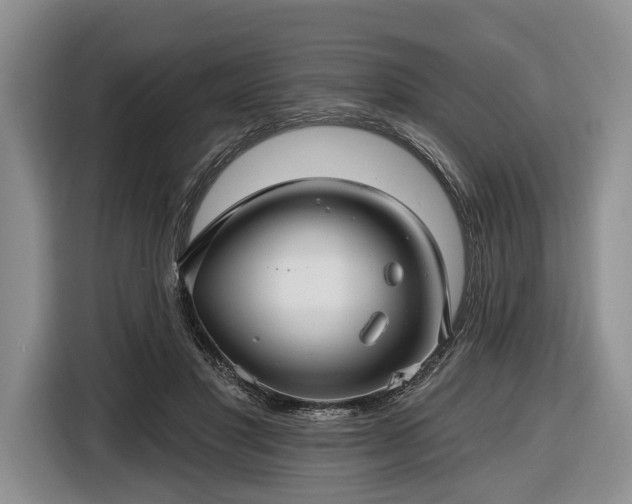 X0000116610501200912181209