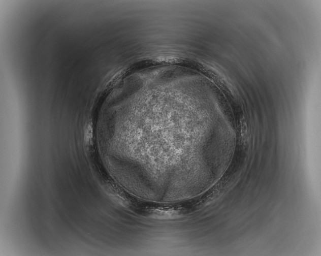 X0000116610502200912181209