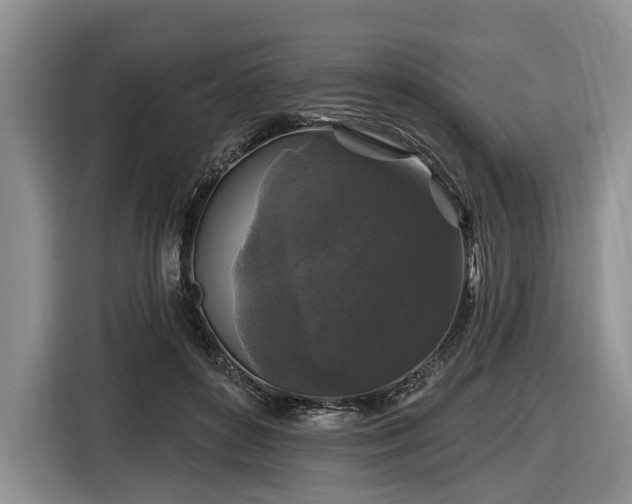 X0000116610504200912181209