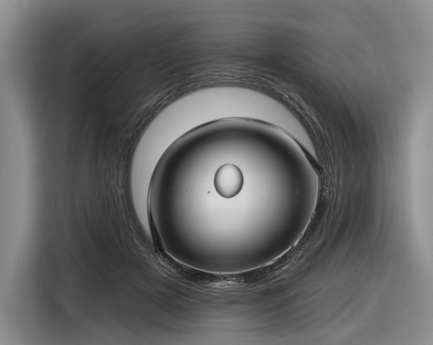 X0000116610505200912181209