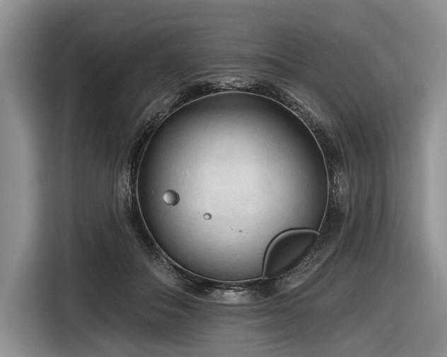 X0000116610506200912181209