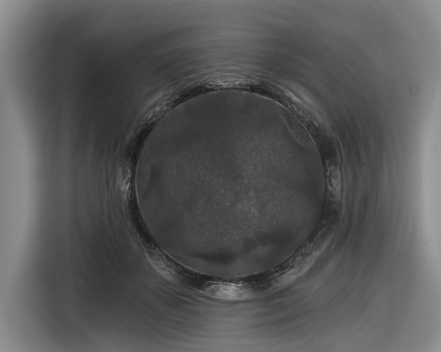 X0000116610507200912181209