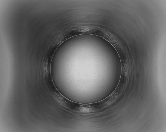 X0000116610510200912181209