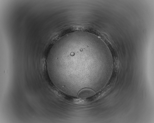 X0000116610511200912181209