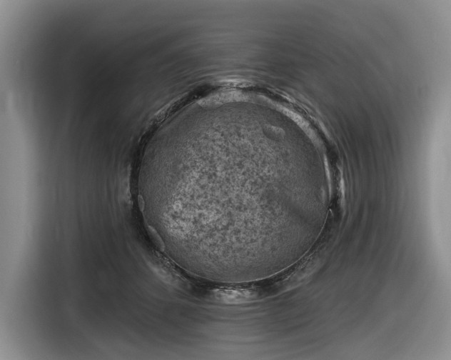 X0000116610512200912181209