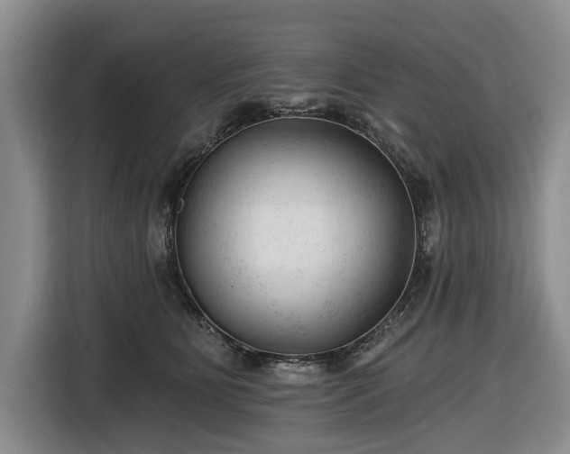 X0000116610515200912181209