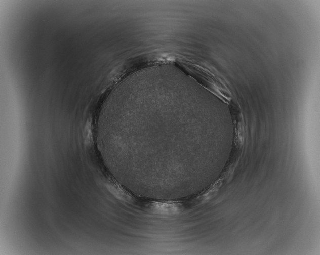 X0000116610520200912181209