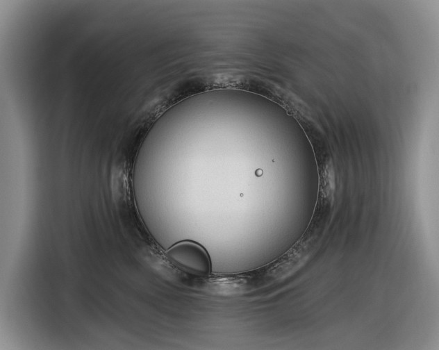 X0000116610522200912181209