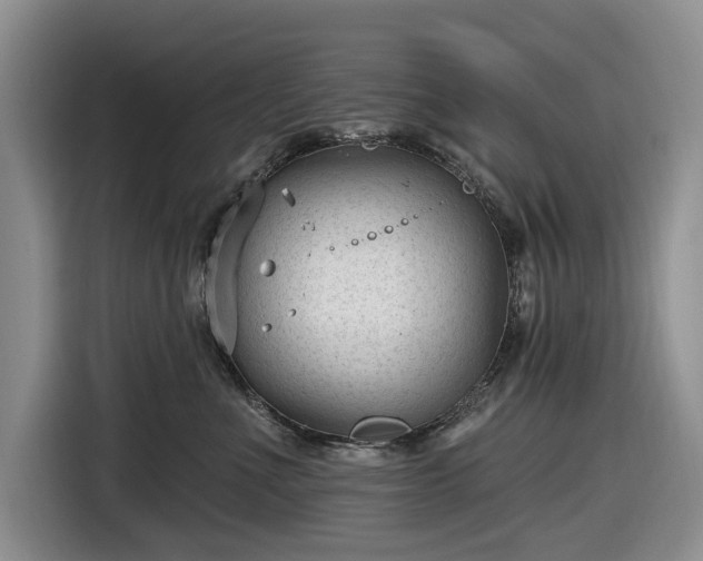 X0000116610523200912181209