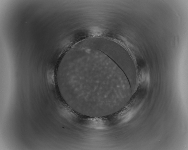 X0000116610524200912181209