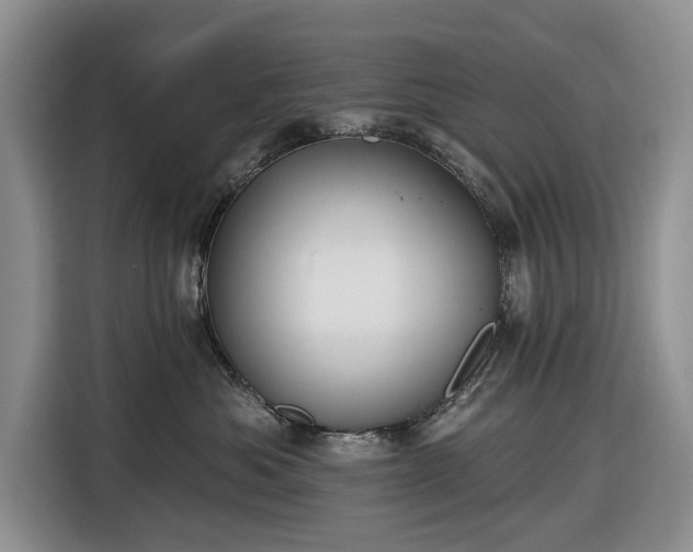 X0000116610525200912181209