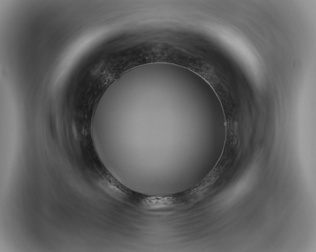 X0000116610526200912181209