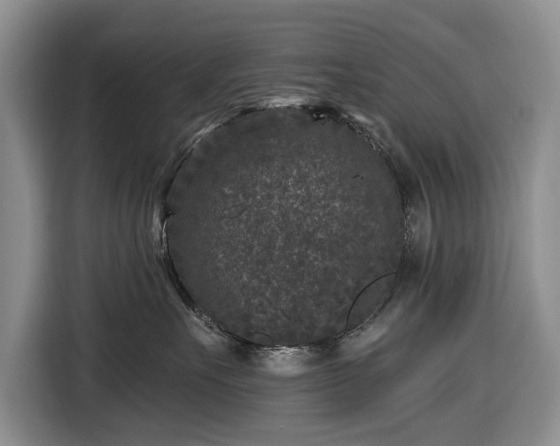 X0000116610527200912181209