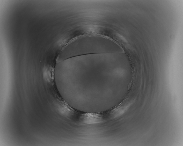 X0000116610528200912181209