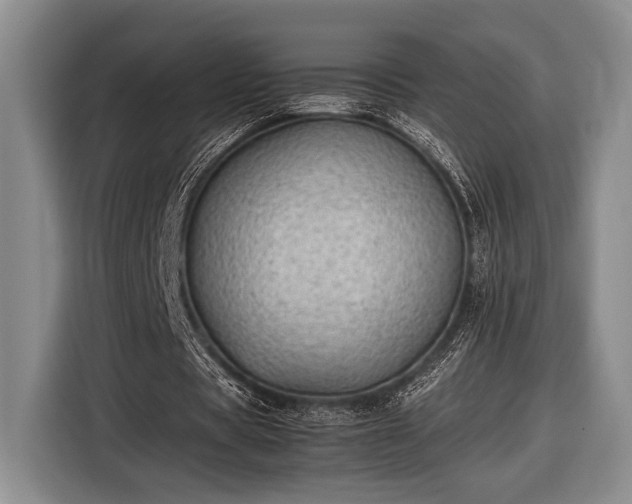 X0000116610529200912181208