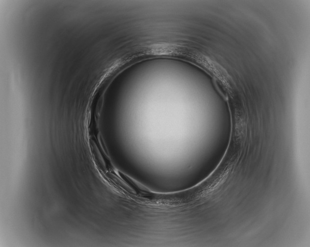 X0000116610530200912181208