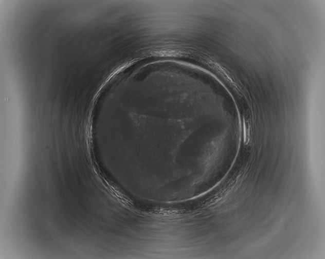 X0000116610531200912181208