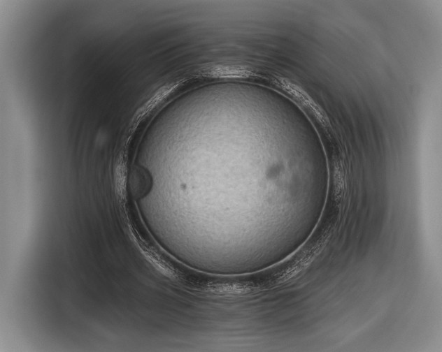 X0000116610533200912181208