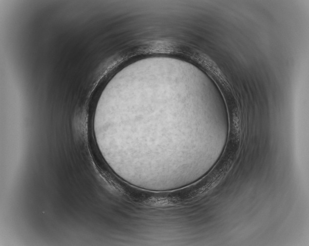 X0000116610534200912181208