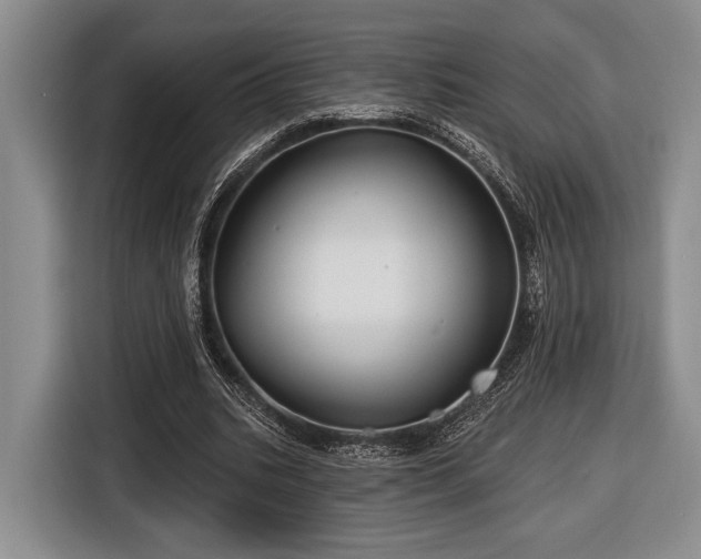 X0000116610535200912181208