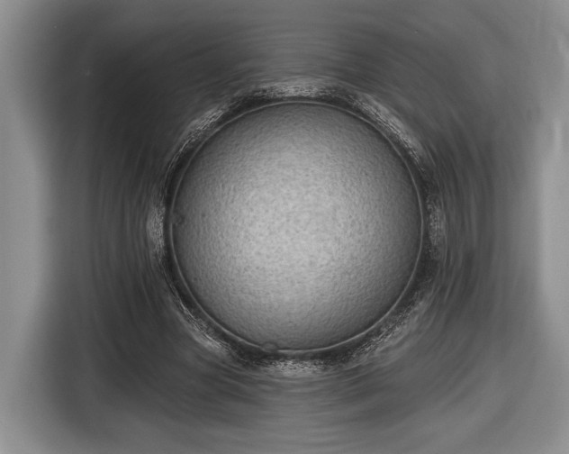 X0000116610537200912181208