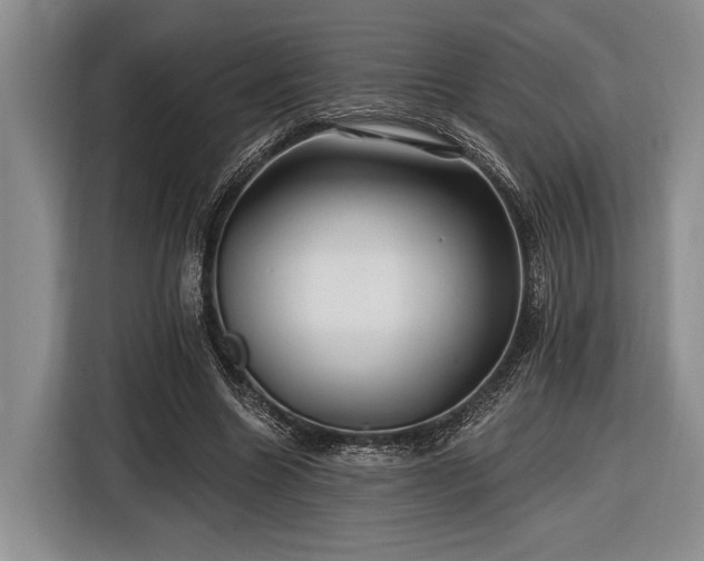 X0000116610538200912181208