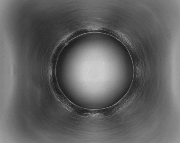 X0000116610539200912181208