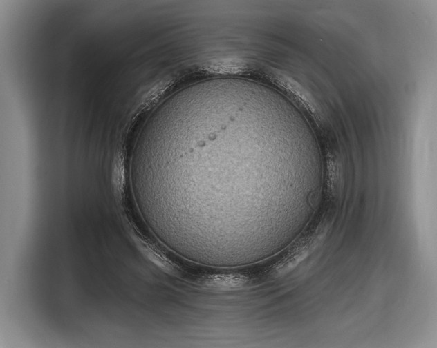 X0000116610541200912181208