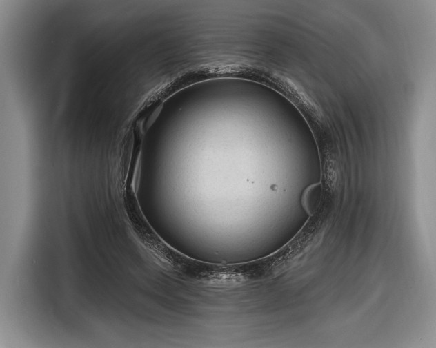 X0000116610543200912181208