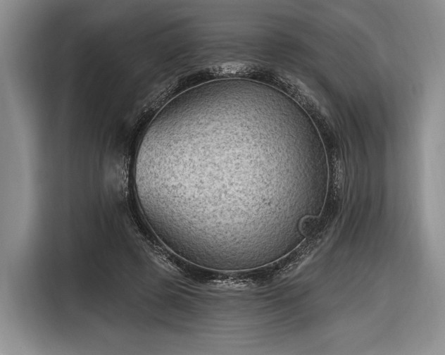 X0000116610545200912181208