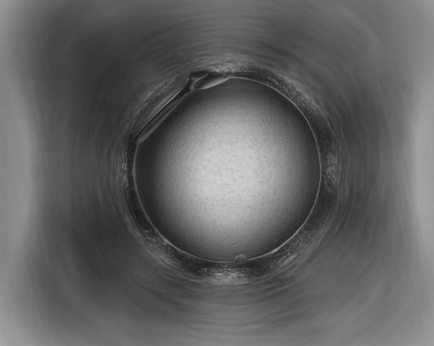 X0000116610547200912181208